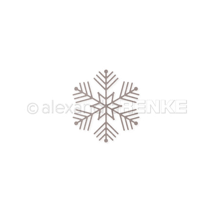 Die 'Ice Crystal 2 ' - D-AR-W0138 - A.RENKE 